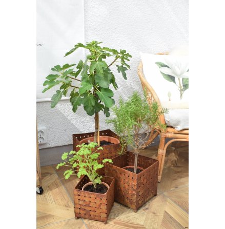 Marschallkruka N�ver rost 3-set ELDgarden