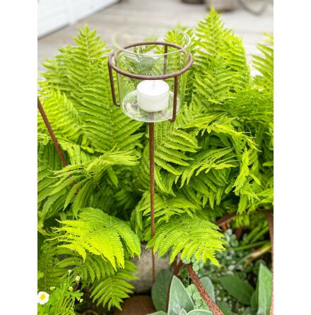 V�rmeljush�llare Glas H�g ELDgarden