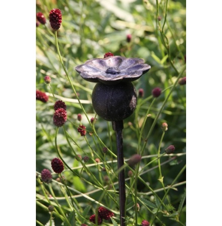 Vallmo p� pinne ELDgarden