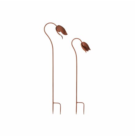 Roya blomma 2 set wikholmform